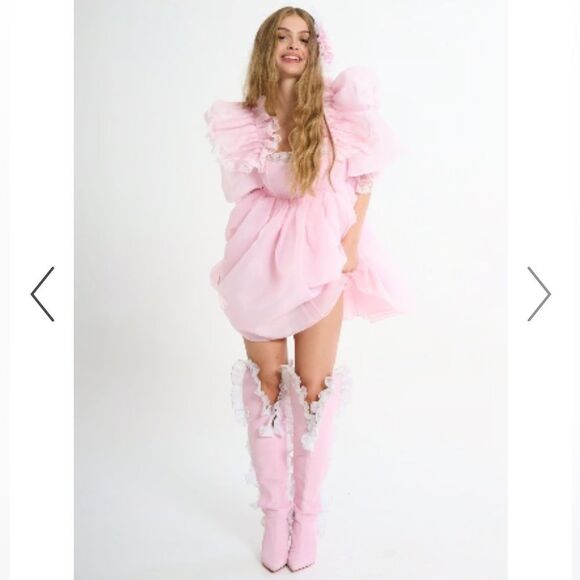 NWT Selkie THE BALLERINA SUGARFRILL DRESS Pink Medium - Picture 14 of 14